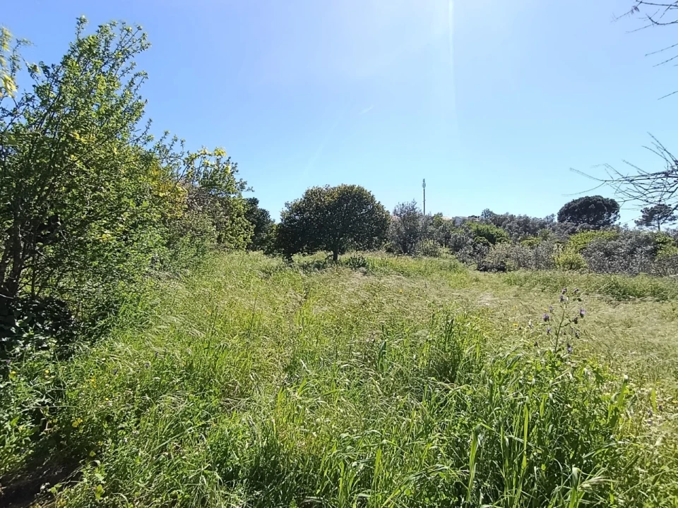 Moradia T4 para Venda em Sardoal Foto 40