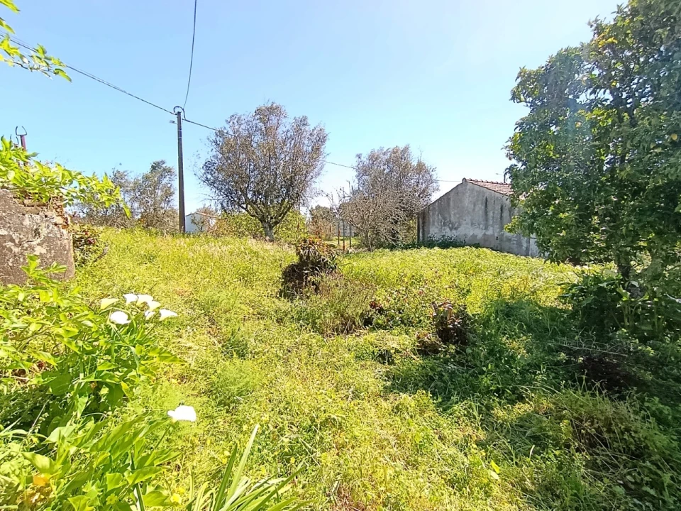 Moradia T4 para Venda em Sardoal Foto 39