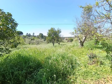 Moradia T4 para Venda em Sardoal