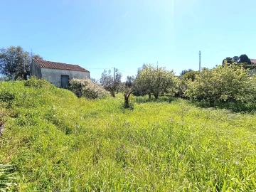 Moradia T4 para Venda em Sardoal