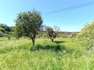 Moradia T4 para Venda em Sardoal