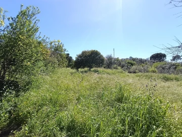 Moradia T4 para Venda em Sardoal