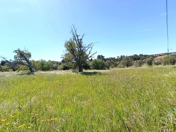 Moradia T4 para Venda em Sardoal