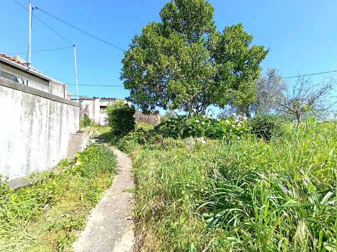 Moradia T4 para Venda em Sardoal Foto 6