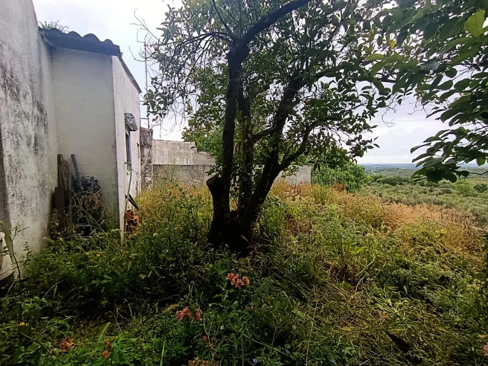 Moradia T3 para Venda em Valhascos Foto 28
