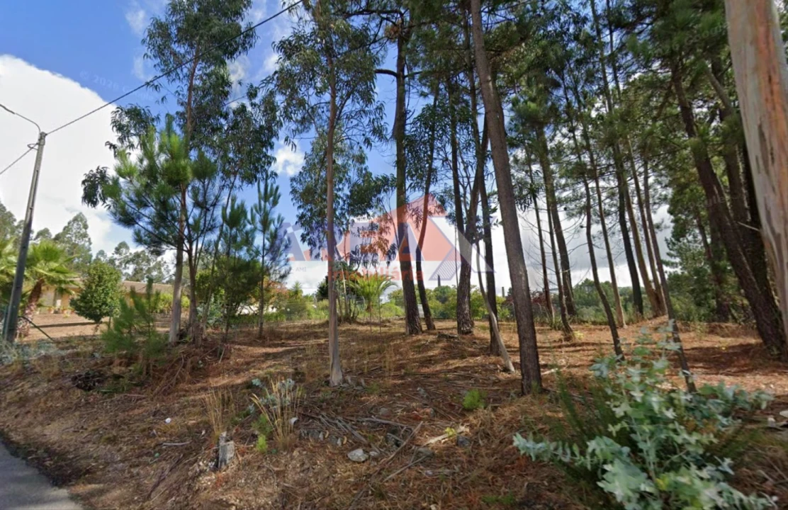 Terreno para Venda em Nogueira do Cravo e Pindelo Foto 15