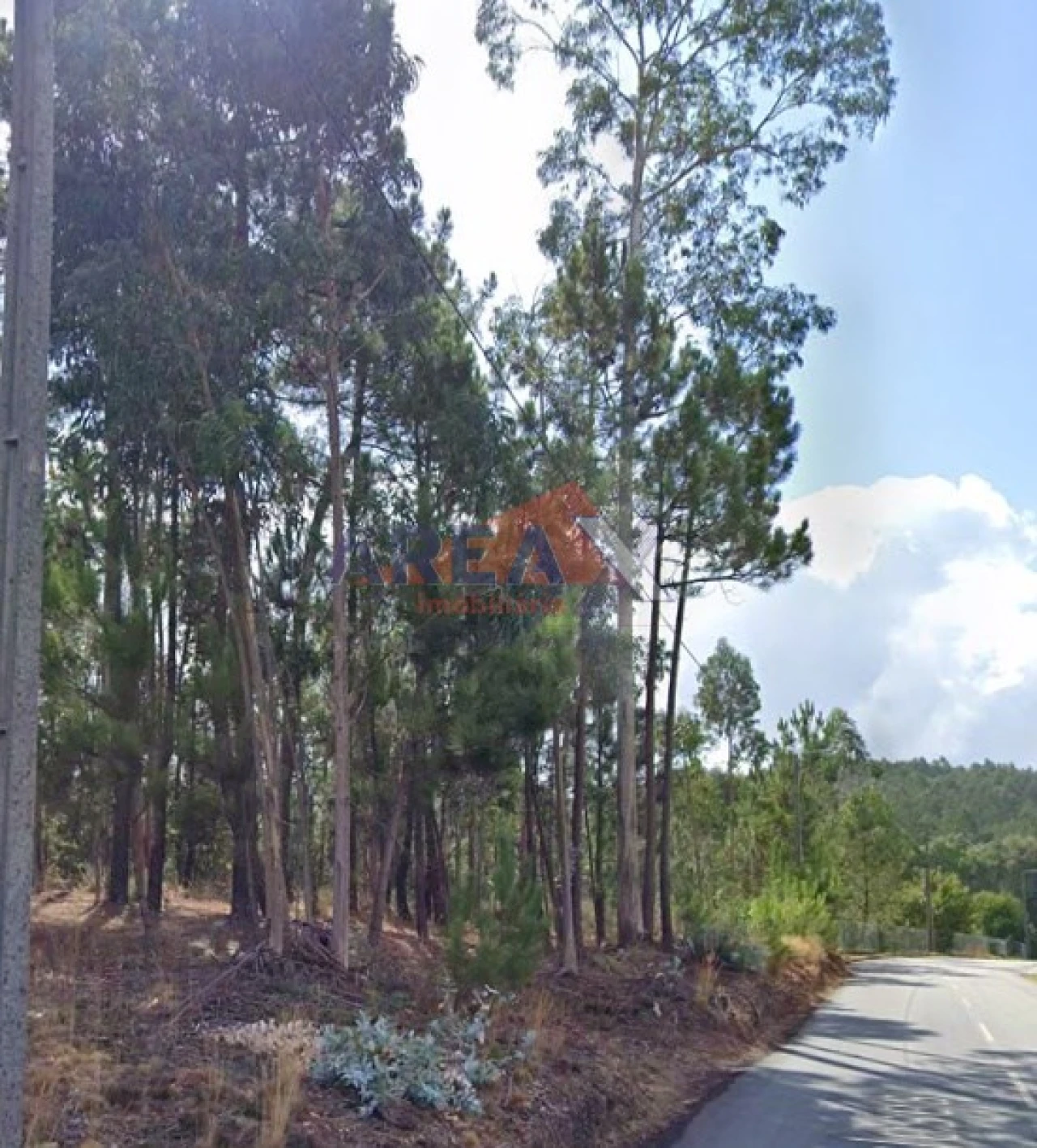 Terreno para Venda em Nogueira do Cravo e Pindelo Foto 16
