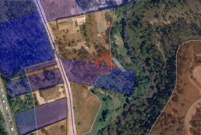 Terreno para Venda em Nogueira do Cravo e Pindelo