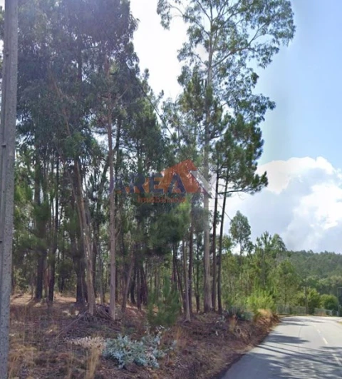 Terreno para Venda em Nogueira do Cravo e Pindelo