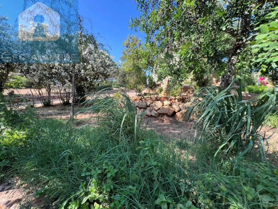 Moradia T5 para Venda em Albufeira e Olhos de Água Foto 17