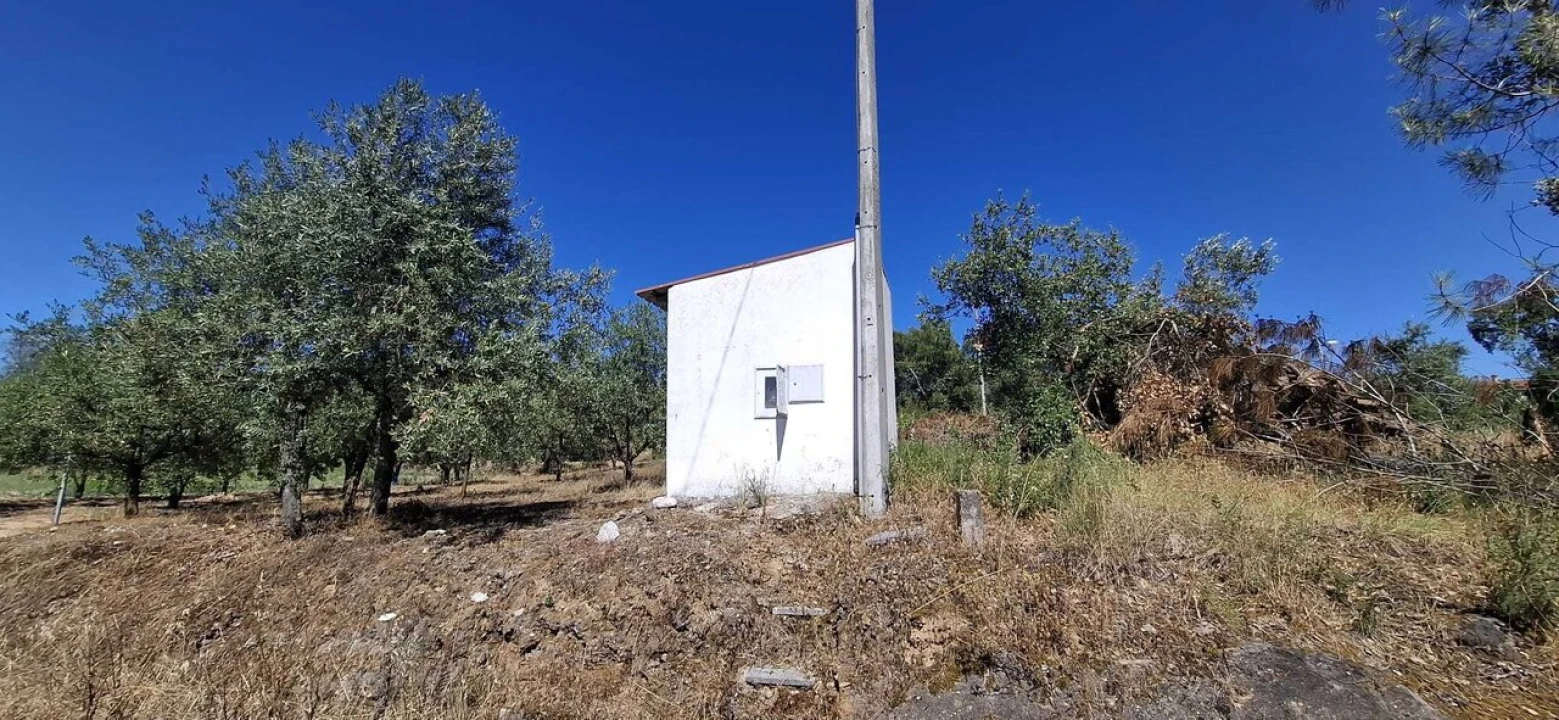 Terreno para Venda em Serra e Junceira Foto 2