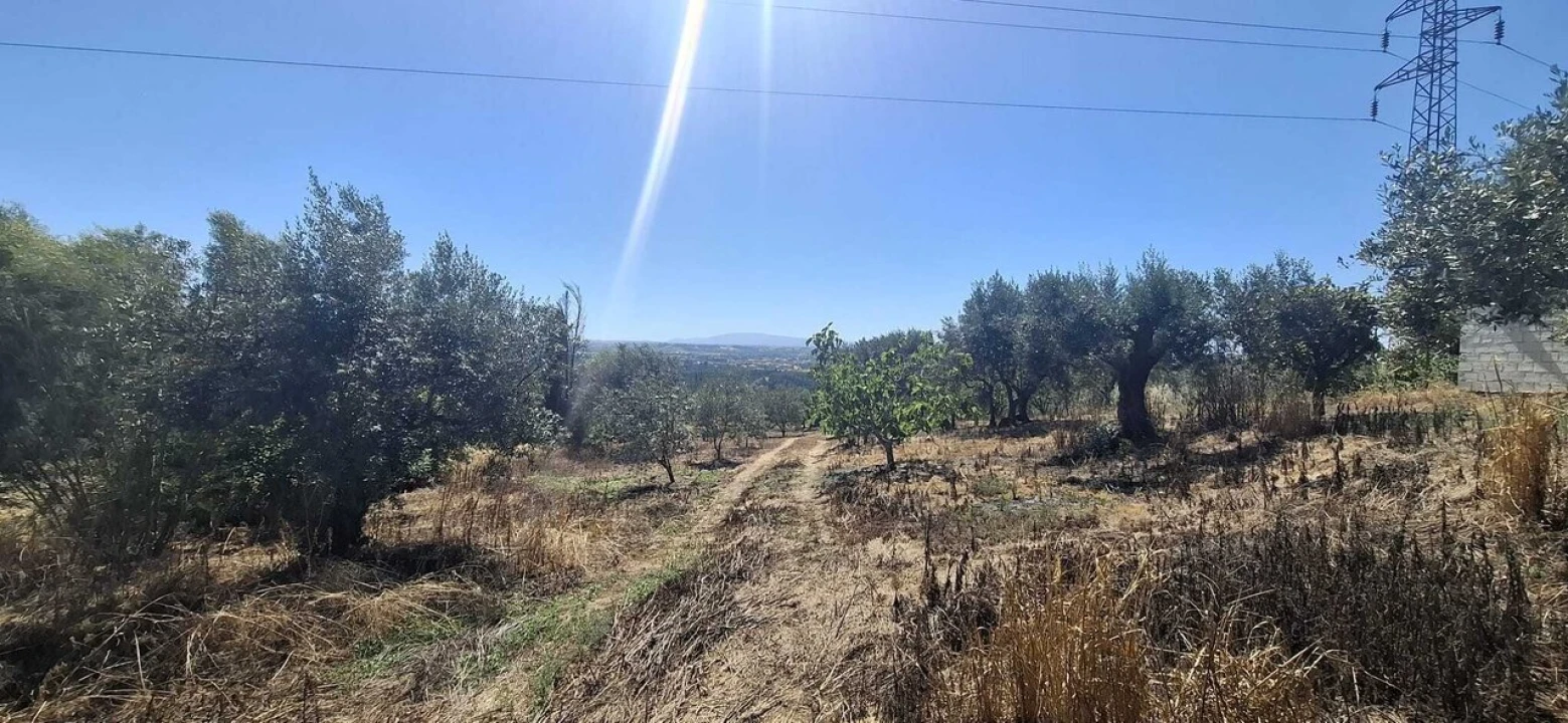 Terreno para Venda em Serra e Junceira Foto 3