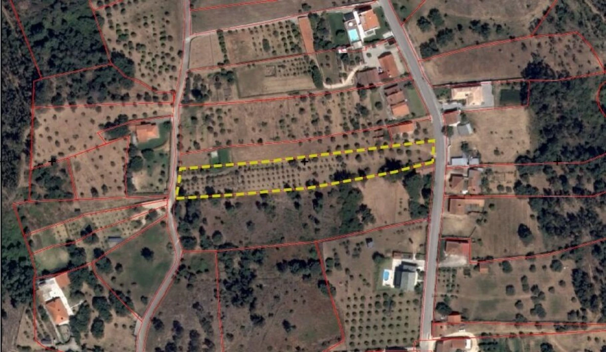 Terreno para Venda em Serra e Junceira Foto 6