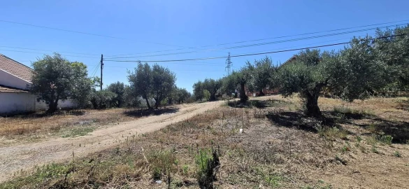 Terreno para Venda em Serra e Junceira