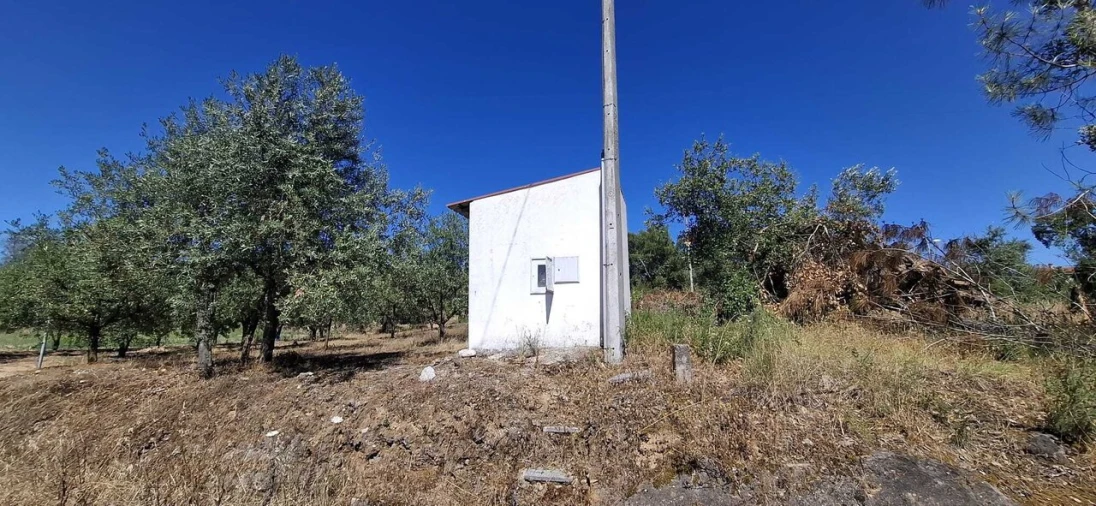 Terreno para Venda em Serra e Junceira Foto 2
