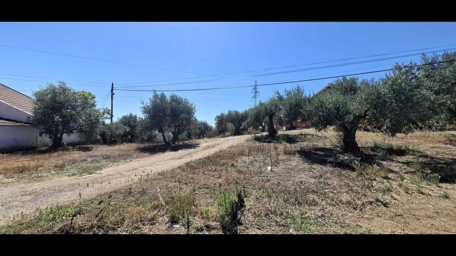Terreno para Venda em Serra e Junceira