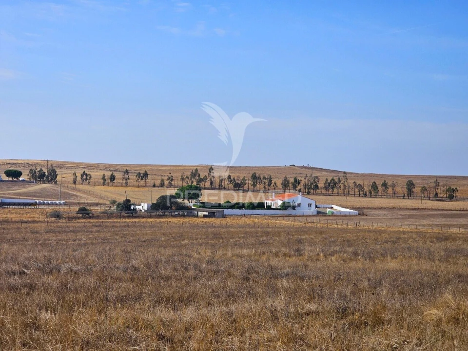 Moradia T4 para Venda em São Marcos da Ataboeira Foto 36