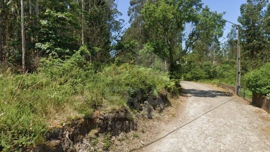 Terreno para Venda em Perelhal