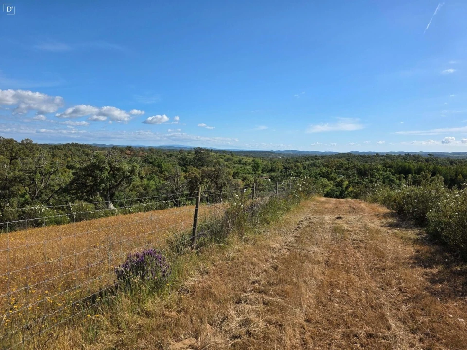 Terreno para Venda em Reliquias Foto 42