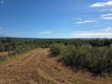 Terreno para Venda em Reliquias