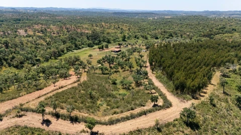 Terreno para Venda em Reliquias