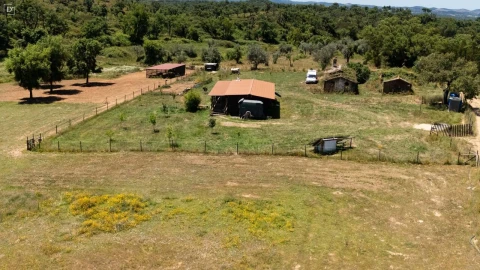 Terreno para Venda em Reliquias