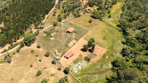 Terreno para Venda em Reliquias
