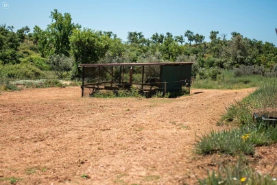 Terreno para Venda em Reliquias