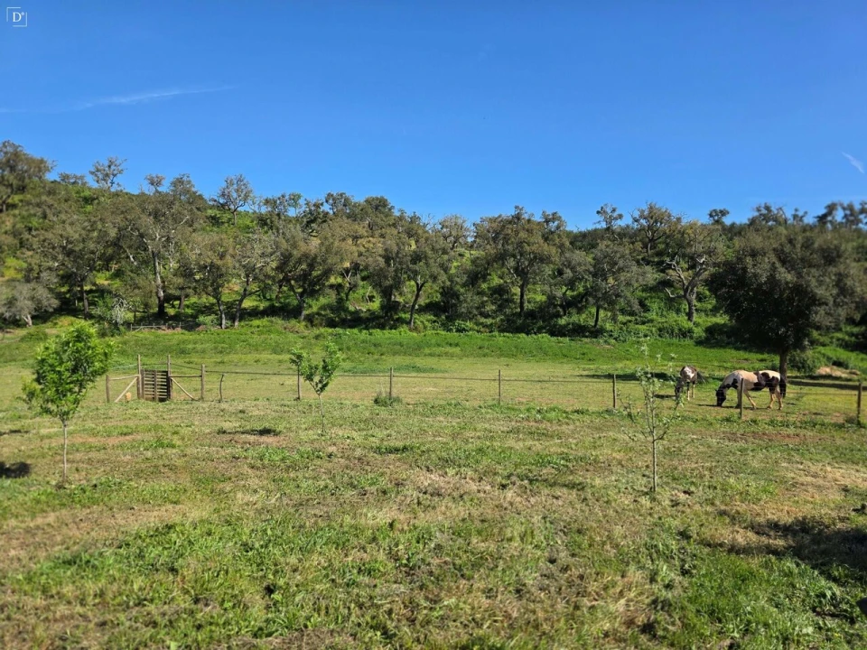 Terreno para Venda em Reliquias Foto 46