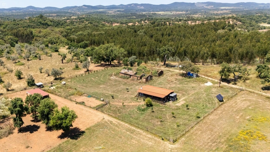 Terreno para Venda em Reliquias