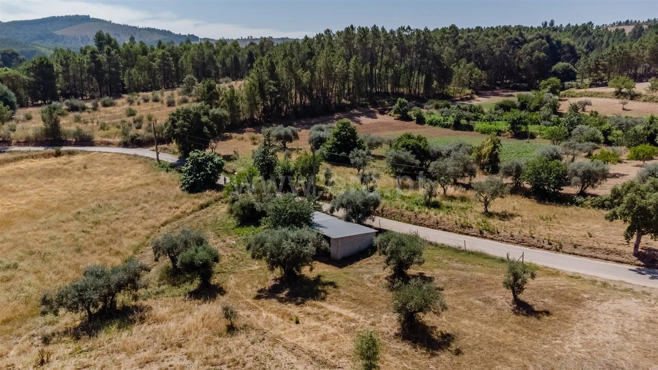 Terreno para Venda em Enxames Foto 1