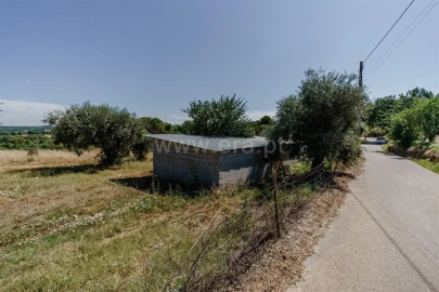 Terreno para Venda em Enxames
