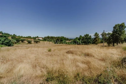 Terreno para Venda em Enxames