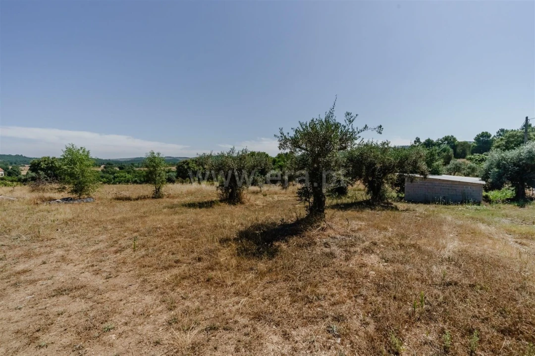 Terreno para Venda em Enxames Foto 17