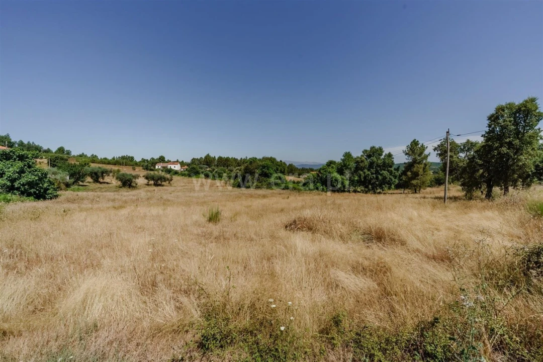 Terreno para Venda em Enxames Foto 14