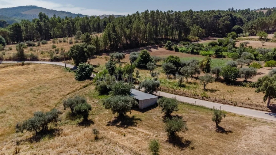 Terreno para Venda em Enxames