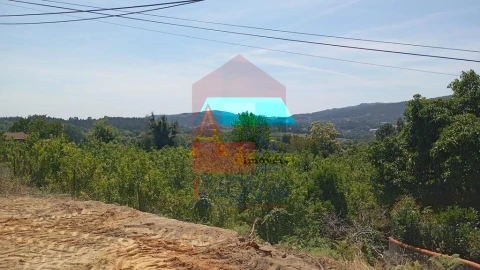Moradia T3 para Venda em Coucieiro