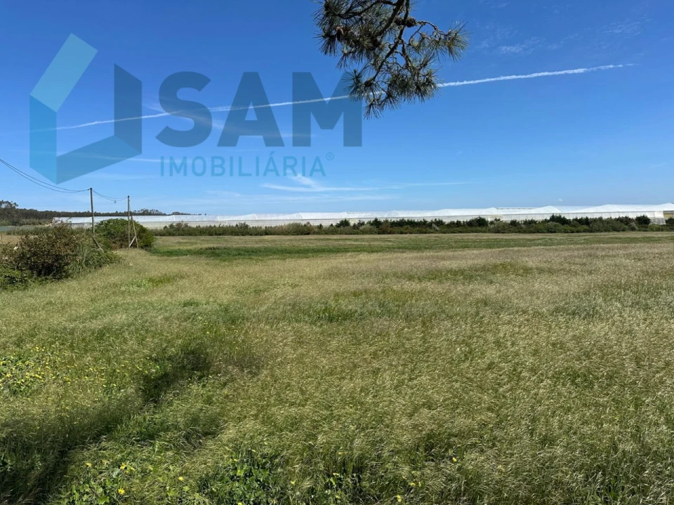 Terreno Misto para Venda em A dos Cunhados e Maceira Foto 17