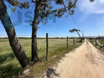 Terreno Misto para Venda em A dos Cunhados e Maceira