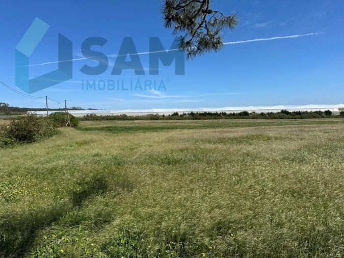 Terreno Misto para Venda em A dos Cunhados e Maceira Foto 17