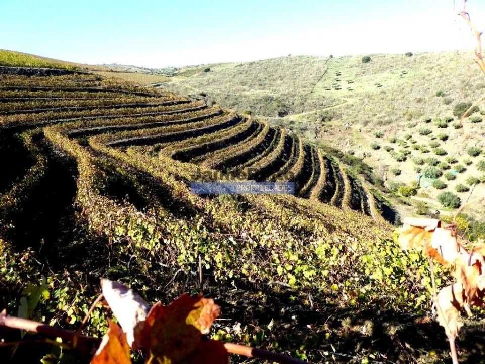 Terreno Agricola ou Rústico para Venda em Vila Nova de Foz Côa Foto 4