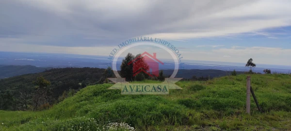 Terreno para Venda em Aradas