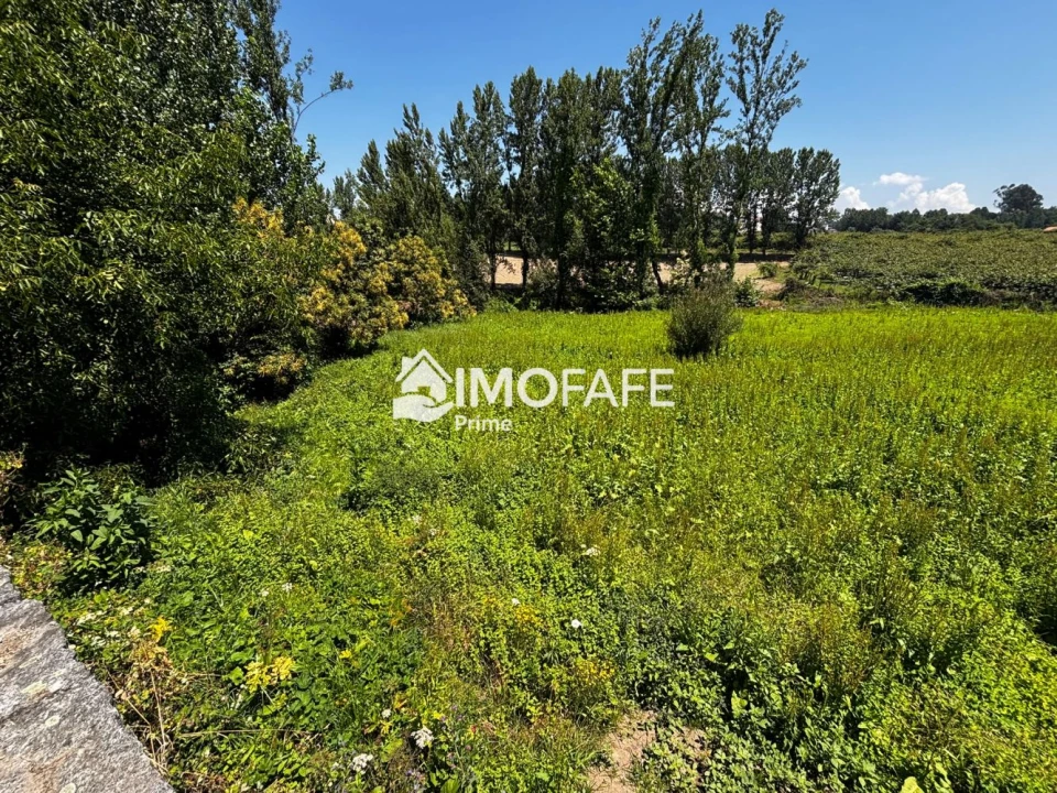 Terreno para Venda em Fafe Foto 2