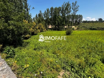 Terreno para Venda em Fafe