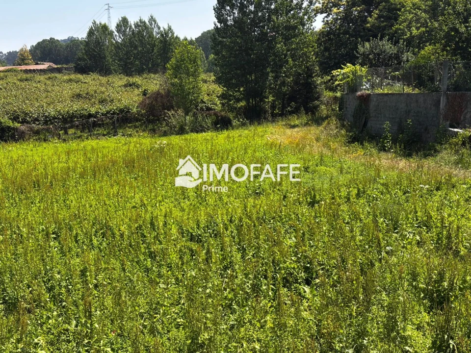Terreno para Venda em Fafe Foto 3