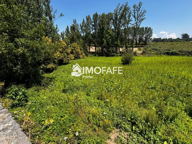 Terreno para Venda em Fafe Foto 2