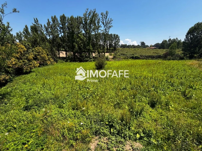 Terreno para Venda em Fafe Foto 7