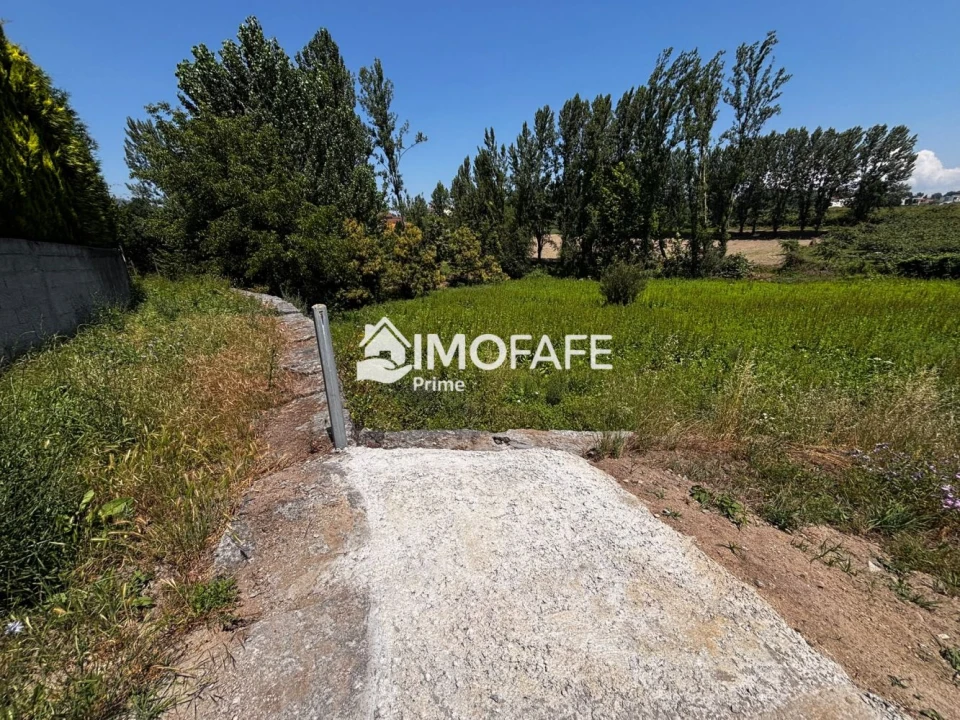 Terreno para Venda em Fafe Foto 5