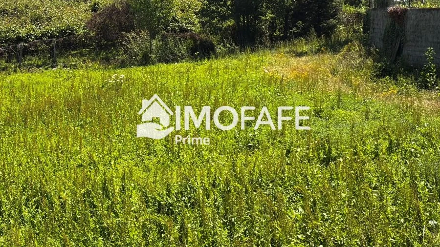 Terreno para Venda em Fafe