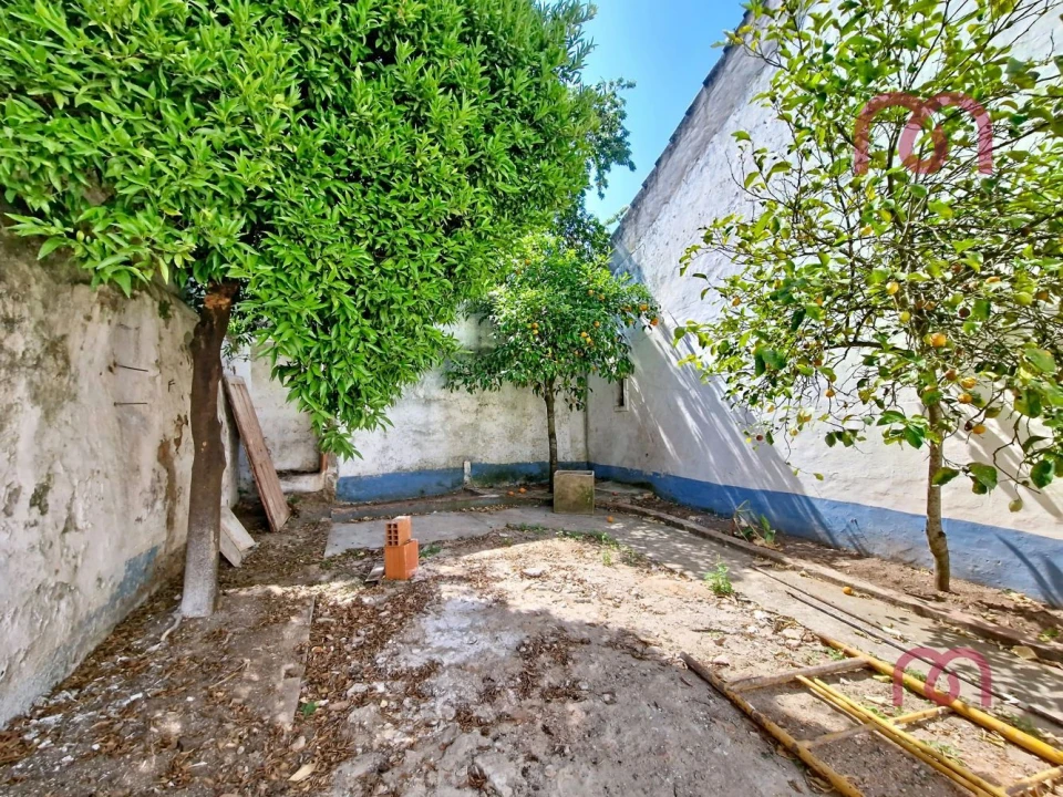 Moradia T2 para Venda em Estremoz (Santa Maria e Santo André) Foto 11